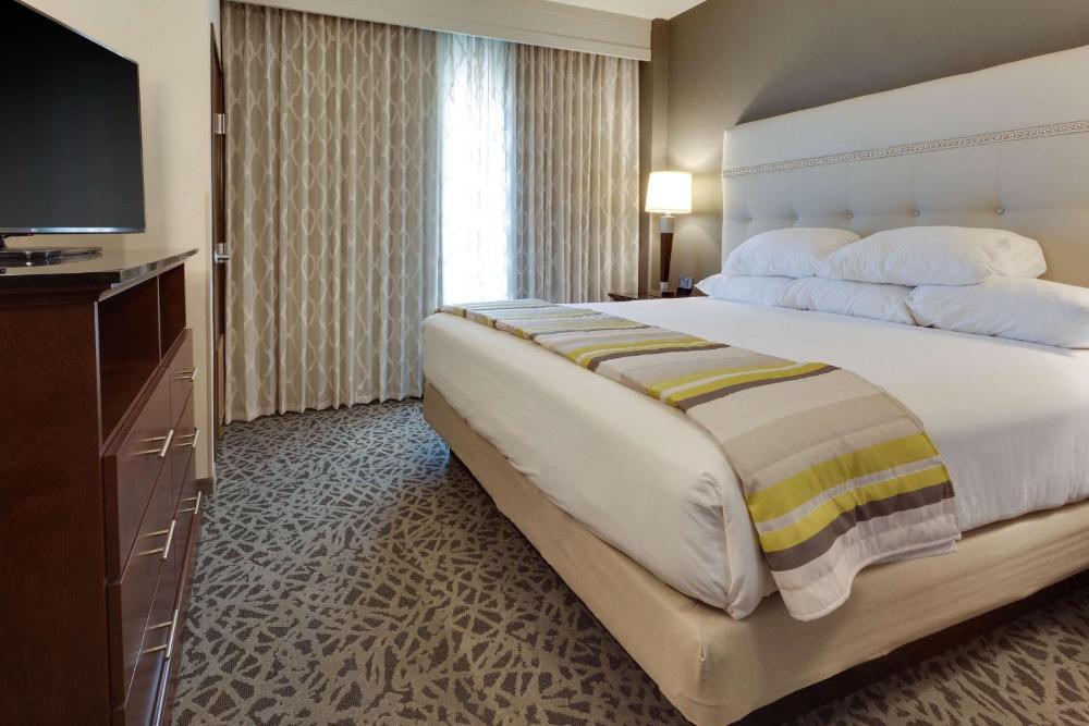 Deluxe King Suite interior